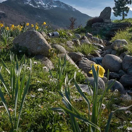 アパート Duplex Renove A Saint-lary-soulan, 4 Pers, Proche Telepherique - Fr-1-296-515 *